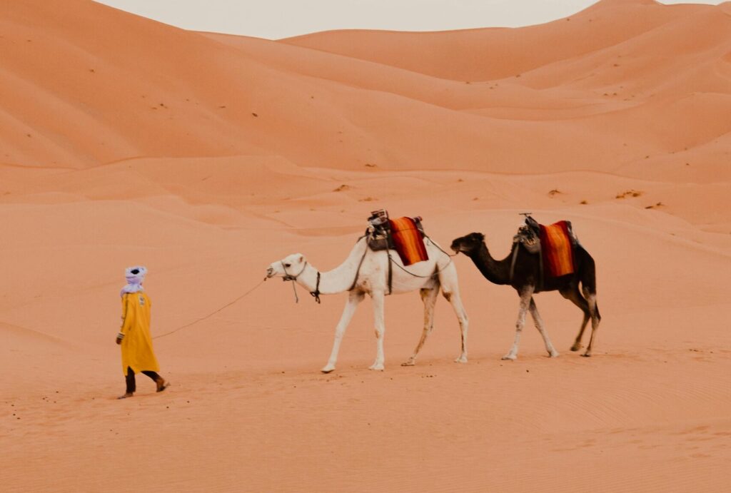 3 Days Private Desert Tour from Marrakech to Fes